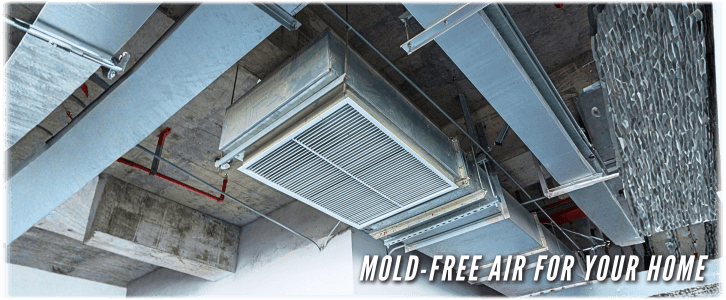 Air Duct Mold Removal in Parkland FL